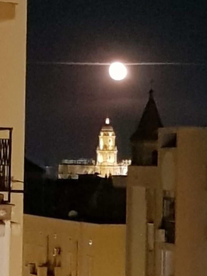 Apartamento Con Vistas A La Catedral A 15 Minutos Del Centro Málaga Dış mekan fotoğraf